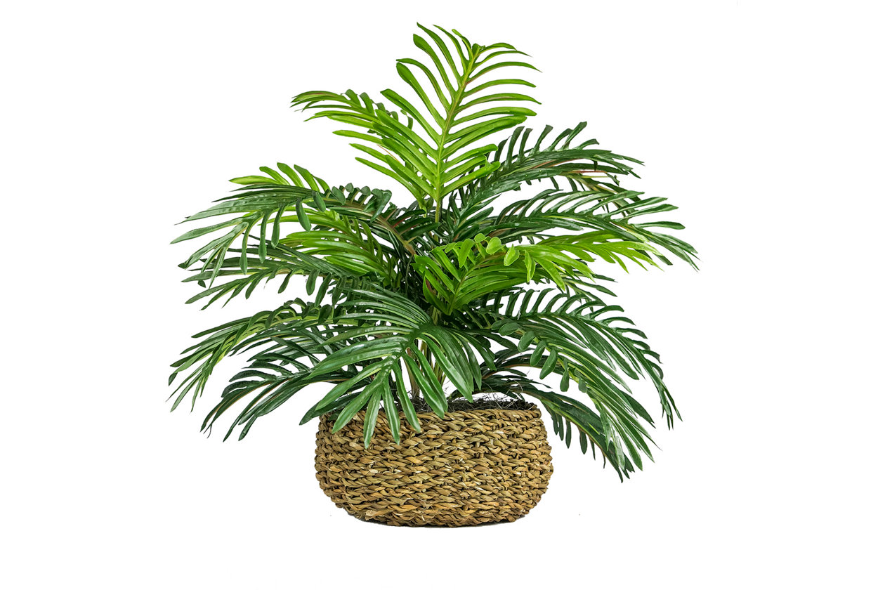 Artificial Plants