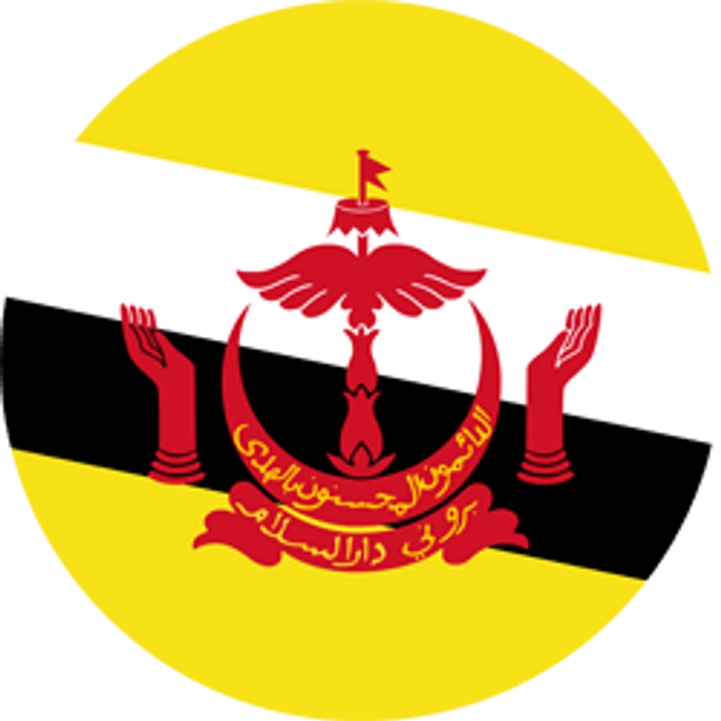 Brunei flag