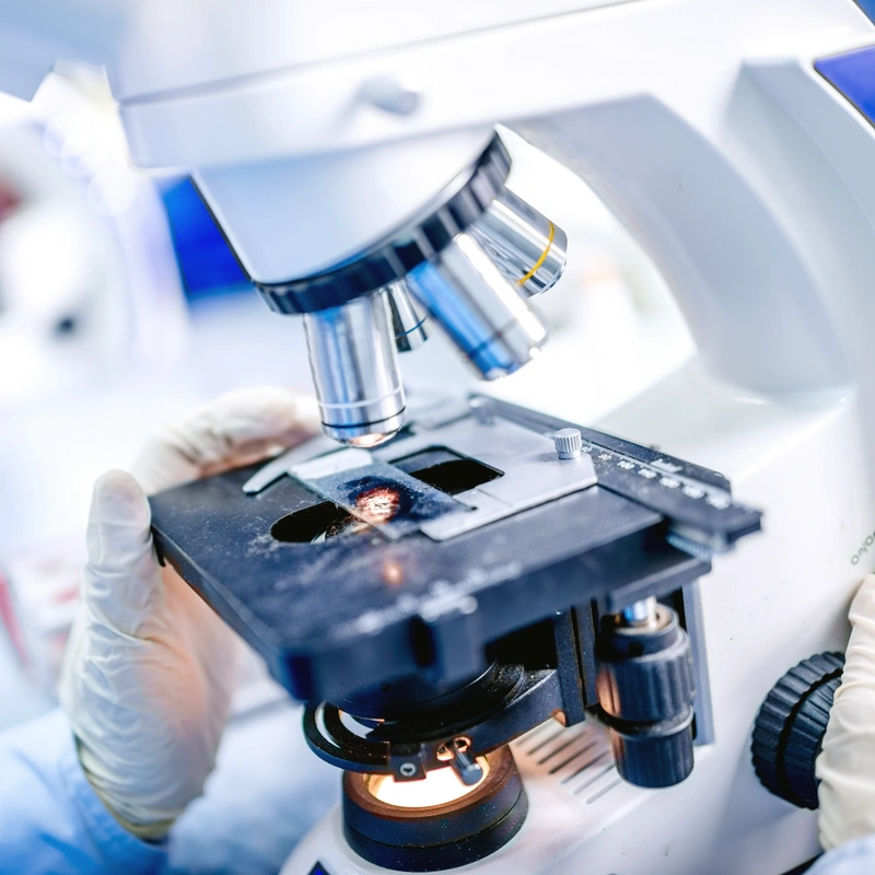 scientist looking at a microscope