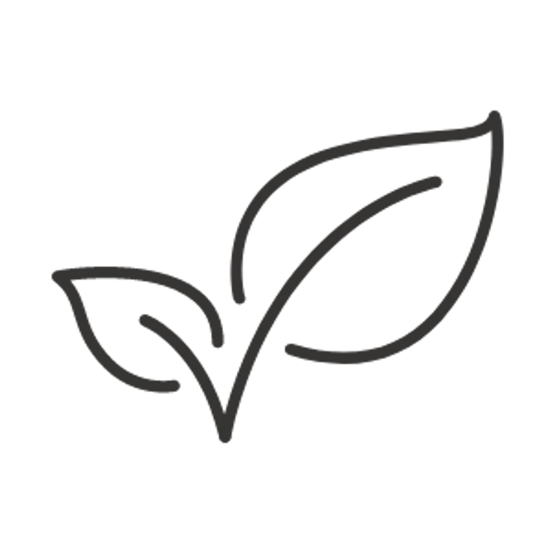 Leaf Icon